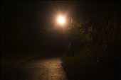 Lamp and darkness.: by willchang, Views[189]
