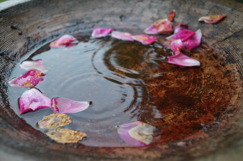 Bird fountain and rain