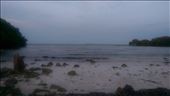 The Straits of Florida at Varadero: by william1, Views[1295]