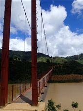 by wingnut, Views[268]