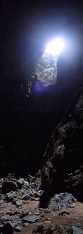 by wingnut, Views[312]