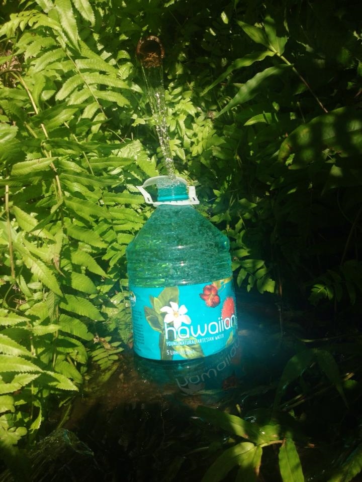 Springing from below, through bamboo I drink pure living water.