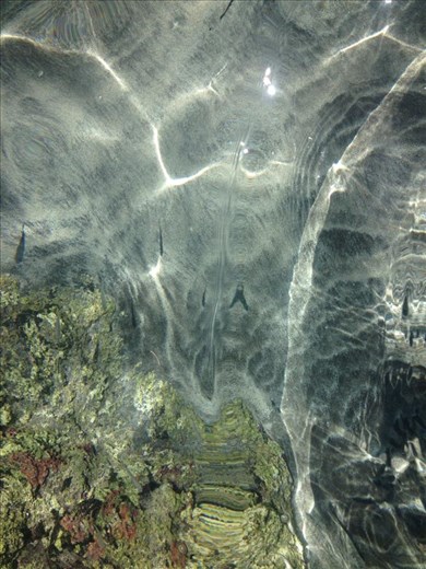 Water is life. Sacred home to light and beings alike.