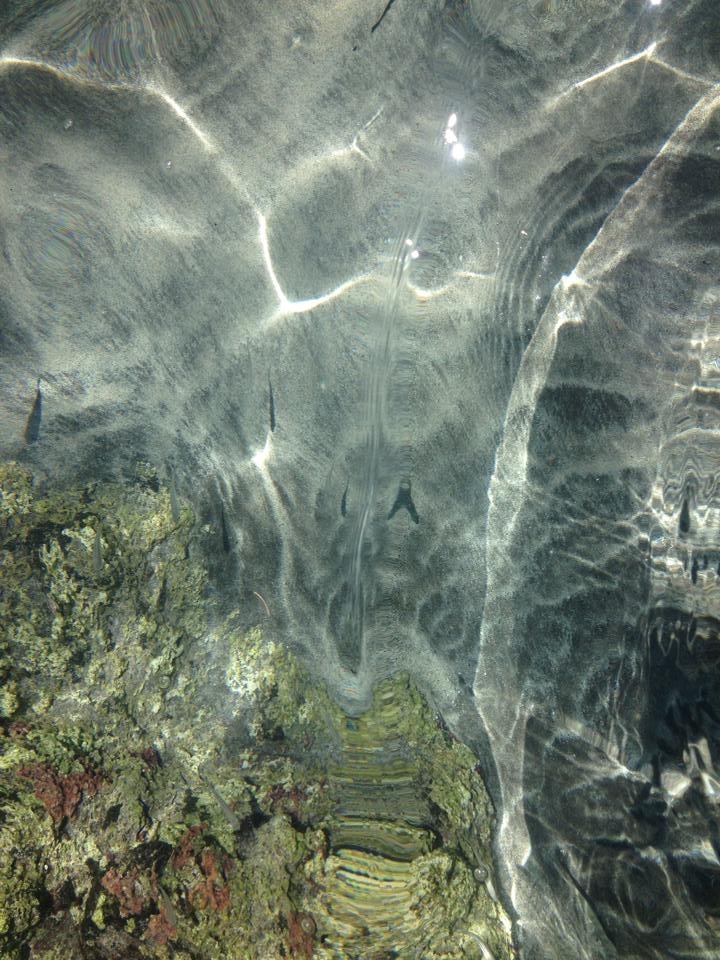 Water is life. Sacred home to light and beings alike.