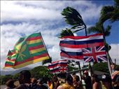 Sovereign alliance of the People, for the land. Solidarity. : by winteroses, Views[330]