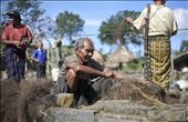 They don't use a nail, they just use a thread made by dry weed to tied the entire frame. The roof also made my dry weed to helps control the temperature inside. In hot days, inside will be cool. On chilly days, it will warm inside.: by wiranurmansyah, Views[350]