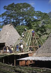 This is the example how the life should be. Bena village people teach us to become useful to other people. That is what we call a proper life. Help people without purpose. : by wiranurmansyah, Views[258]