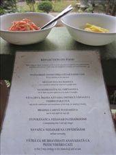 Food for thought (Meal time at  Wat Phrathat Doi Suthep.): by wisdomsearcher, Views[222]