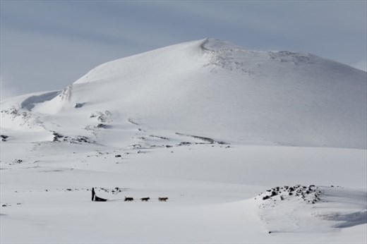 No other tracks up here