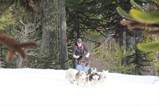 Hard work up the mountain