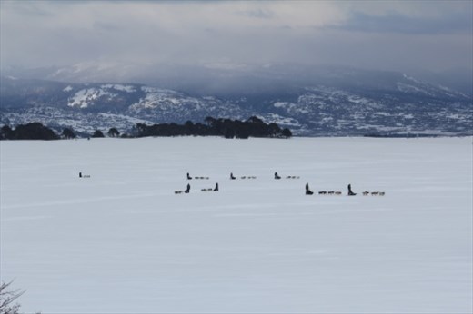 The team on the move