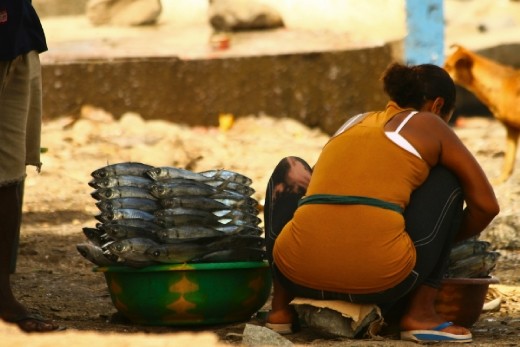 Young woman defrosting 

the low price 
