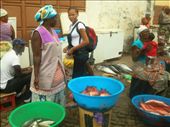 Assomada market 

(Santiago island) is often 

the necessary stop for the 

alouguers on their way to 

Tarrafal. Washbowls full of 

fish, the big fish often just 

lay in the road surface. 

Women are the main dealers 

here and often have to carry 

their childern at work with 

them.
: by women_fish_markets, Views[849]