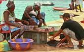 Selling fish under  

the hot noon sun at the pier 

of Santa Maria de Sal (Sal 

Island) can be a hard job. 

Big tunas are the dominant 

fish in this open market. The 

women sell whereas the men 

are doing the 'dirty'
job to cut and clean the 

fish.  
: by women_fish_markets, Views[1477]