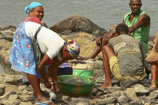 The fishing market of   Mindelo (Sao Vicente island)   seems to support an entir