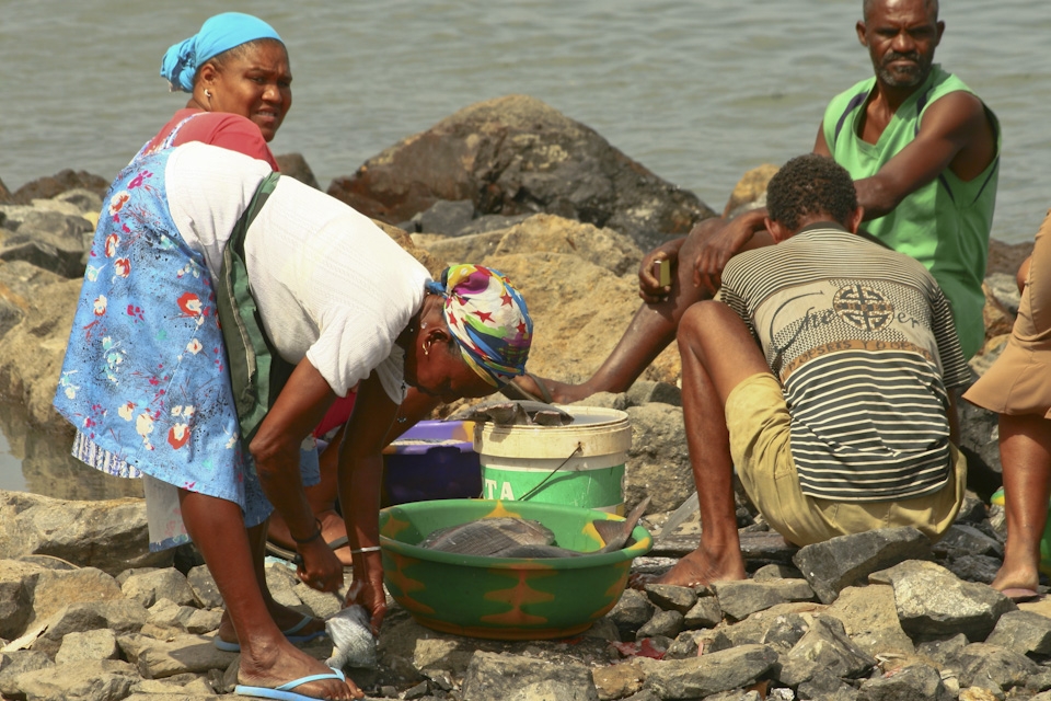 The fishing market of   Mindelo (Sao Vicente island)   seems to support an entir