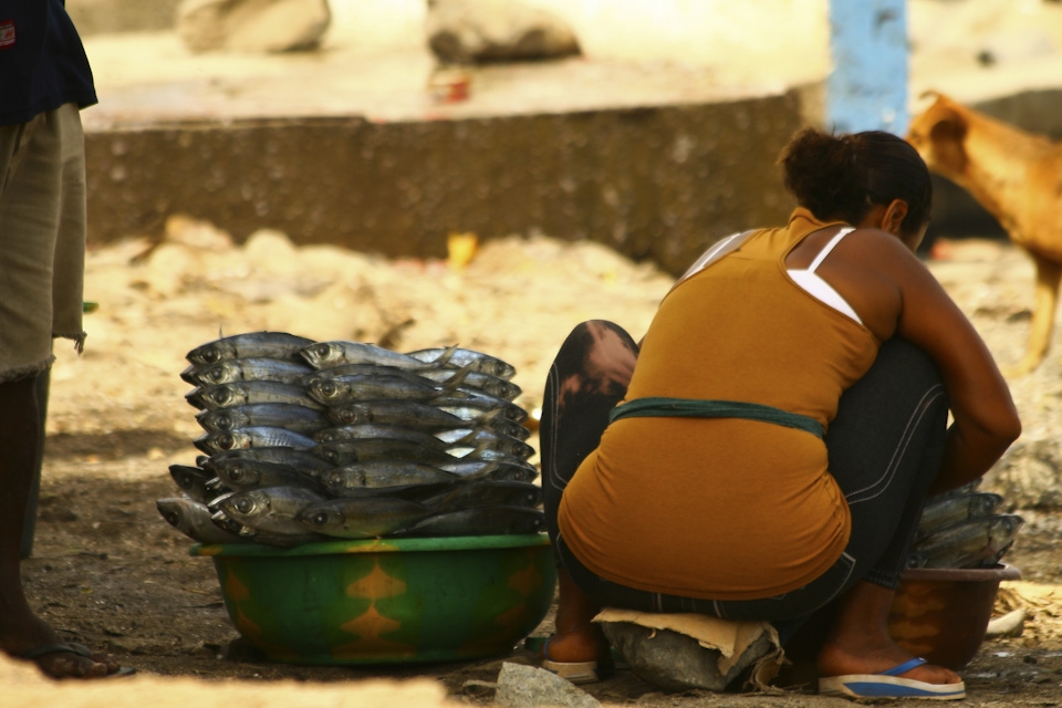 Young woman defrosting   the low price 