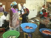 Assomada market   (Santiago island) is often   the necessary stop for the   alou: by women_fish_markets, Views[363]