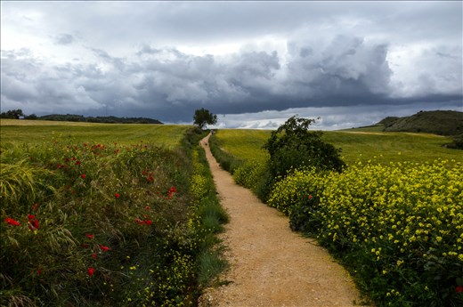 13 days hike around North of Spain