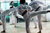 Teaching taekwondo discipline in HCM City: by wonderland2014, Views[305]