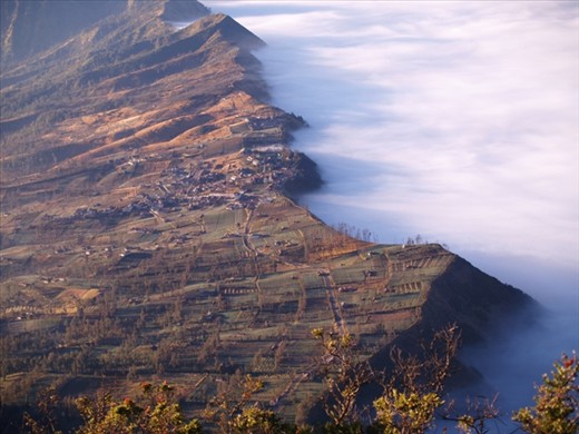 a misty morning fog in Bromo mountain's highland, east Java, Indonesia