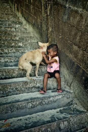 The love between a boy and his best friend 