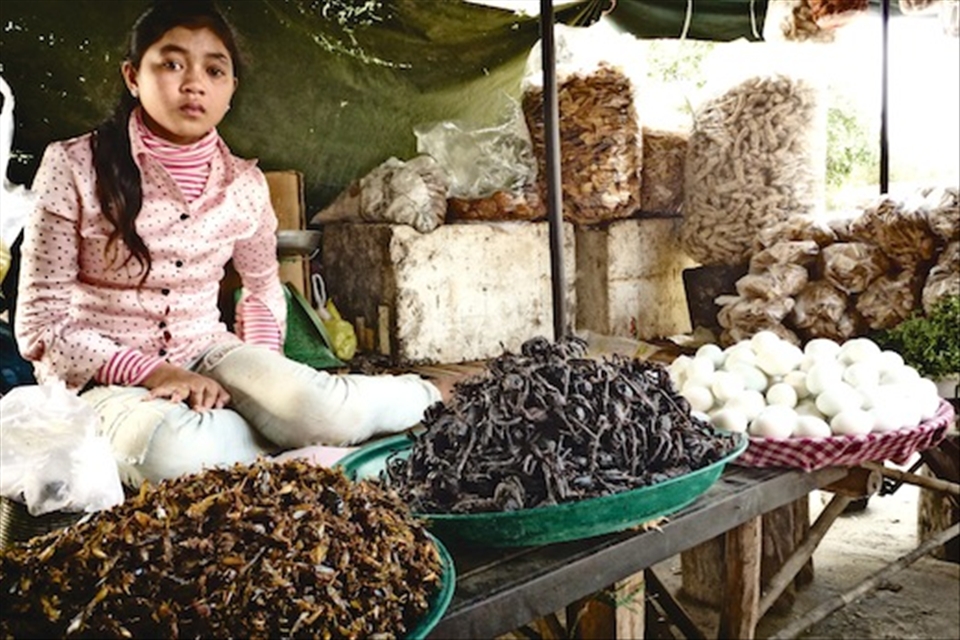 This is not a novelty, suppression by Pol Pot had forced them into this