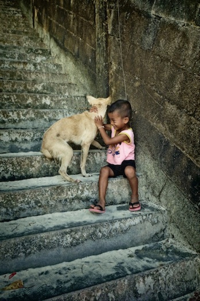 The love between a boy and his best friend 
