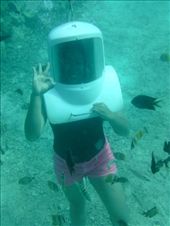 by worldhopper, Views[156]