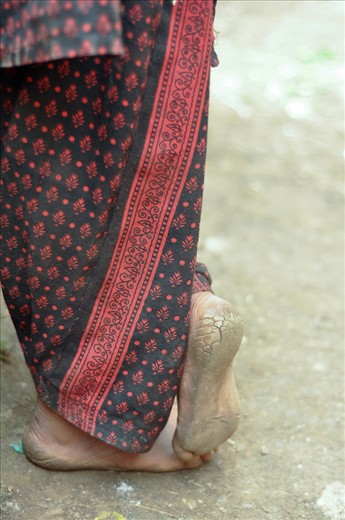 Feet of the Himalayas