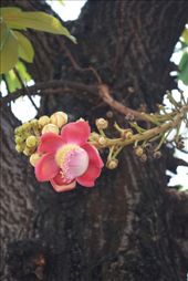 by worldnomadsscholarship, Views[204]