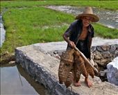 A happy guy coming home from work.  I really enjoyed meeting this man and he happily allowed me to take his photo.  He smiled when I showed him the picture.: by worldtravlrs, Views[821]