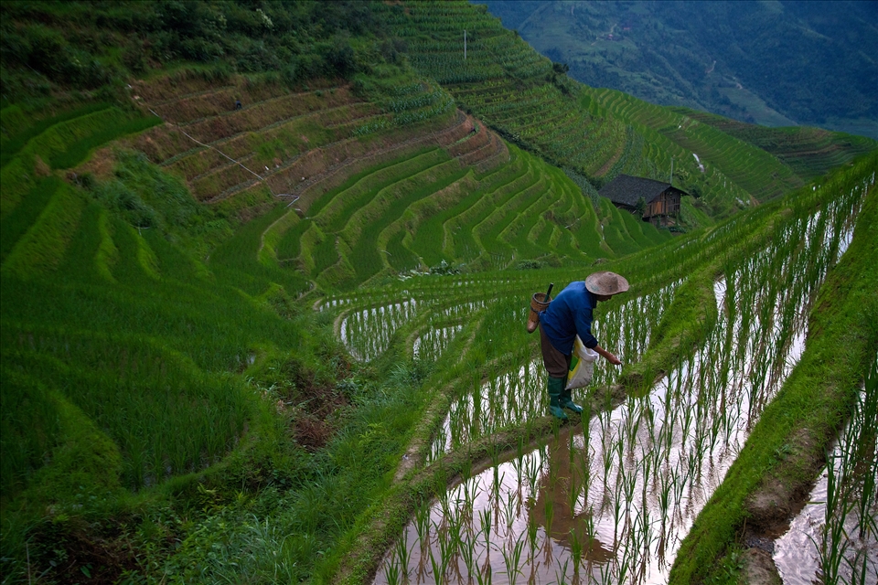 This man works with his back to one of the most beautiful views I have ever seen, a view he has been creating for many years.
