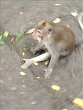 by worldwanderer, Views[251]