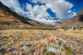 View of Paso Punta Union on 4750m, Santa Cruz Trek, Peru: by wwtraveler, Views[257]