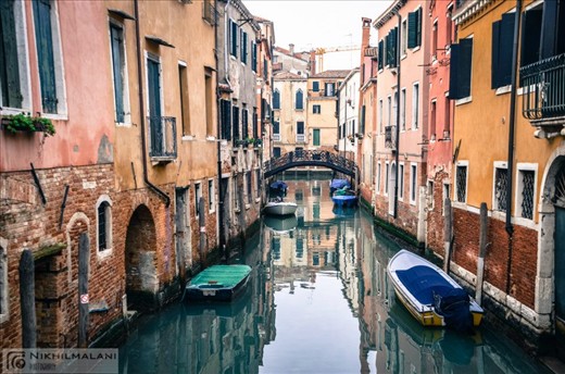 Tranquility amidst turbulence of the city