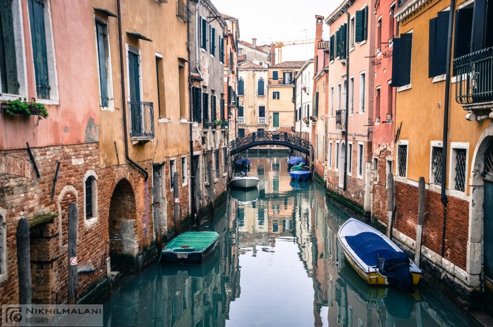 Tranquility amidst turbulence of the city