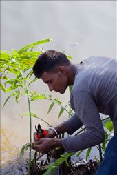 Indian labourer gardener.
In Singapore it is legal to racially discriminate as there are no laws against it. Most of the qualified jobs listed in the island carry the notation Indian labourer gardener.
In Singapore it is legal to racially discriminate as there are no laws against it. Most of the qualified jobs listed in the island carry the notation
