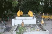 Old malay cemetery in Kampong glam (muslim community). Due to land scarcity in Singapore, the government decided to limit the places available for burials. The Urban Redevelopment Authority said land scarcity meant priority would have to be given to other pressing needs, including housing and infrastructure. Those whose religion demands burial, such as Muslims will face some difficulties.: by xiito, Views[1225]