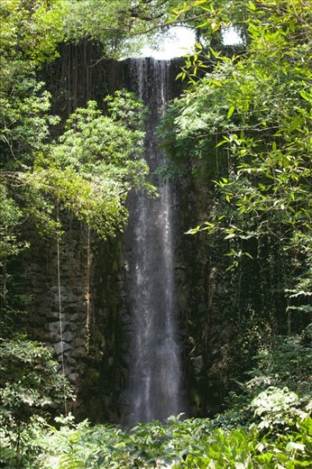 Artificial waterfall in Jurong bird park. Singapore's “clean and green” campaign has become more visible and more aggressive over the years, more artificial landscapes emulating natural sceneries are being built across the island. Societies create landscapes in their own image and Singapore aims to be a green tourist destination. “Artificial landscapes can be microcosmos of the larger landscape, but the larger landscape can also be conceptually organized as an extension of the artificial one”.