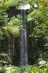 Artificial waterfall in Jurong bird park. Singapore's “clean and green” campaign has become more visible and more aggressive over the years, more artificial landscapes emulating natural sceneries are being built across the island. Societies create landscapes in their own image and Singapore aims to be a green tourist destination. “Artificial landscapes can be microcosmos of the larger landscape, but the larger landscape can also be conceptually organized as an extension of the artificial one”.: by xiito, Views[714]