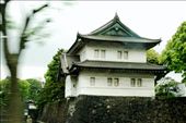 We were driving pass Tokyo heading to our next destination, and alongside the roads were many small castle and moats around them. Beautiful shaped, lucious green trees surrounded the castle, a sight to be seen.: by xprince89, Views[313]