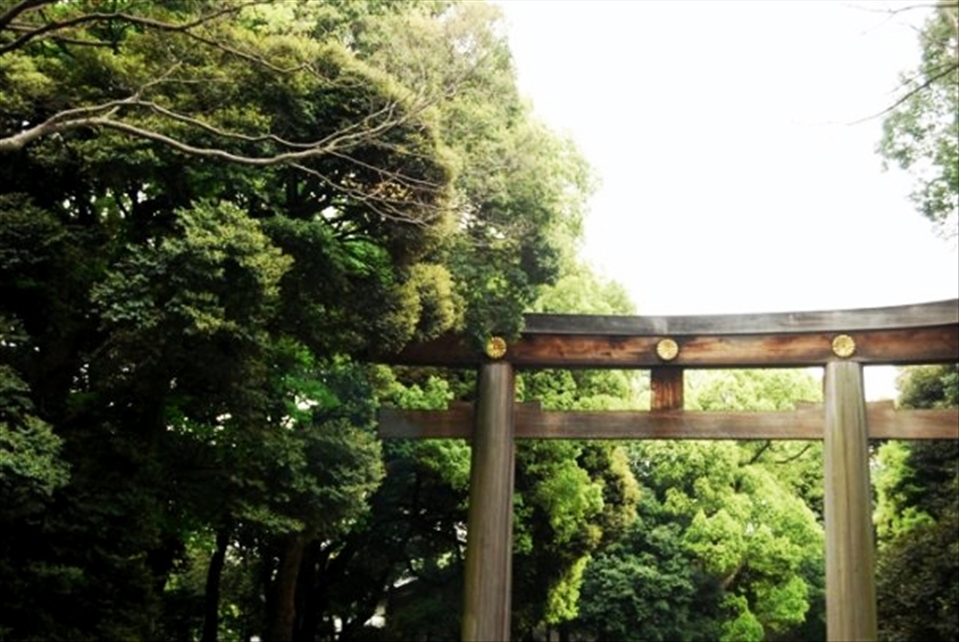 In Kyoto, many areas had Shinto Shrines. Most of the religion there were of Shintoism. These big beautiful arches, mostly in red, were a transition into a sacred area. They're called a Torii. 