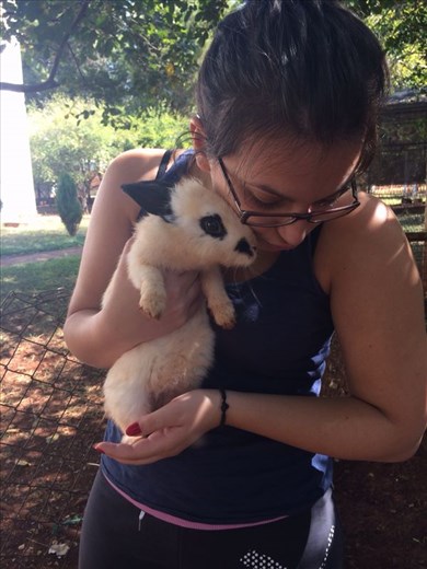 Bunny in Sao Paulo