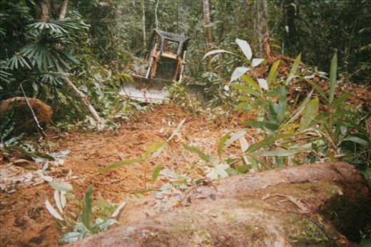 Bulldozer in Ancient Burial Ground