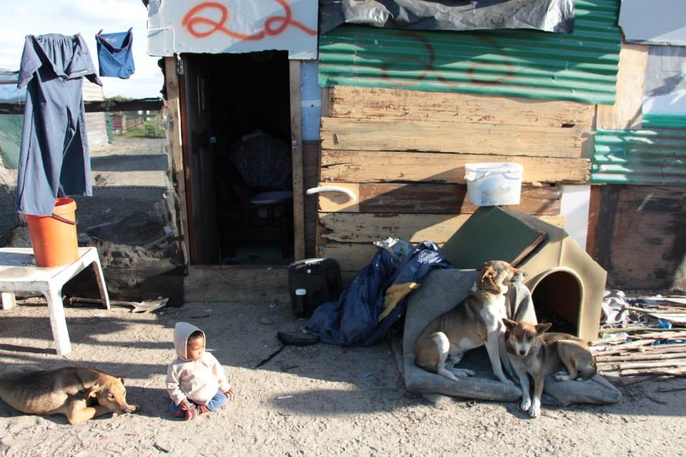 Dina's neighbours and their children will also be evicted.