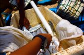 not to much fish can cacthed. it got 6 kilograms of fish and sold  one hundred thousand rupiah.: by yes, Views[392]