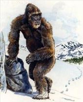 by yetifinder, Views[107]