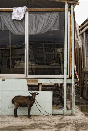 Living under significant problems in the areas of housing and health.