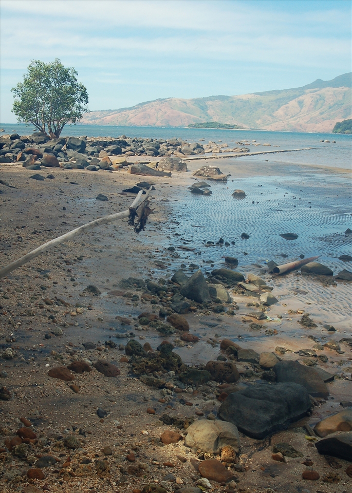 In the beginning there was nature. (Subic Bay, Zambales, Philippines)